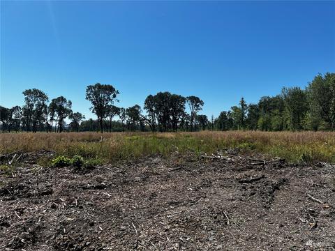 0 Knowles Rd, Winlock, WA 98596 photo 2