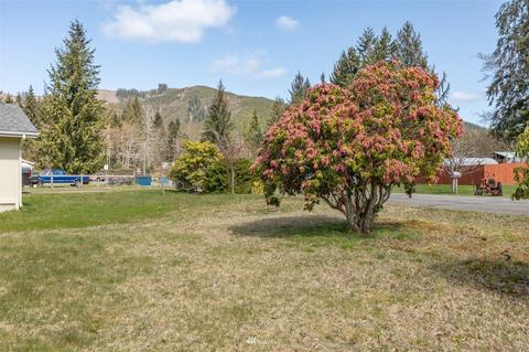 151 Elk Loop Dr, Forks, WA 98331 photo 29
