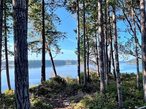 146 E Pirates Dr, Grapeview, WA 98546 photo 3