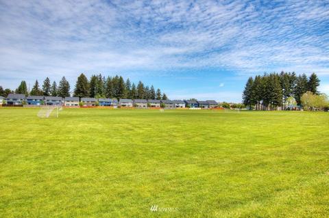 7249 Radius Loop SE, Lacey, WA 98513 photo 23