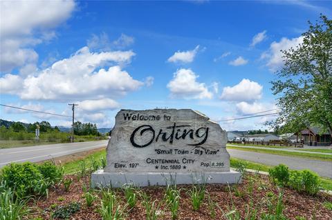 1009 Riddell Ave NE, Orting, WA 98360 photo 27