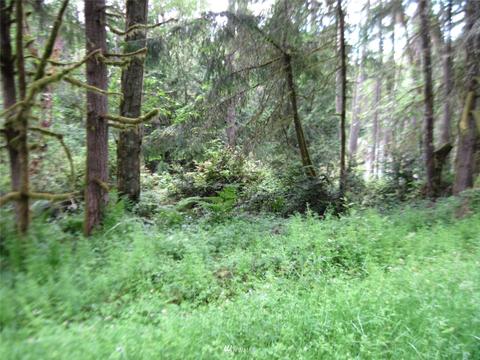 11515 Breaker Way, Anderson Island, WA 98303