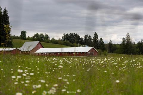 1072 King Rd, Winlock, WA 98596 photo 10