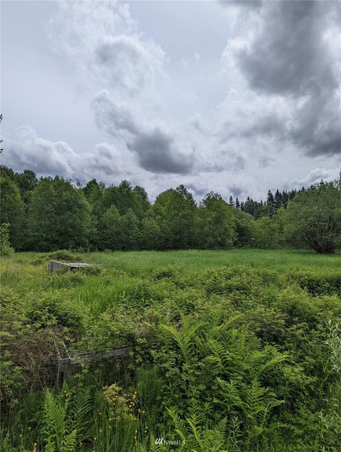 19413 Patterson Rd E, Orting, WA 98360 photo 6