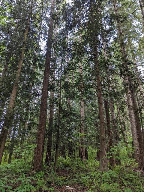 19413 Patterson Rd E, Orting, WA 98360 photo 7