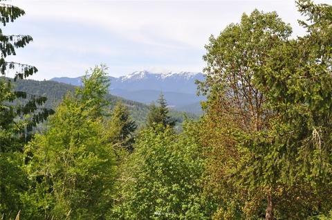 9999 Fox Hollow Rd, Sequim, WA 98382 photo 31