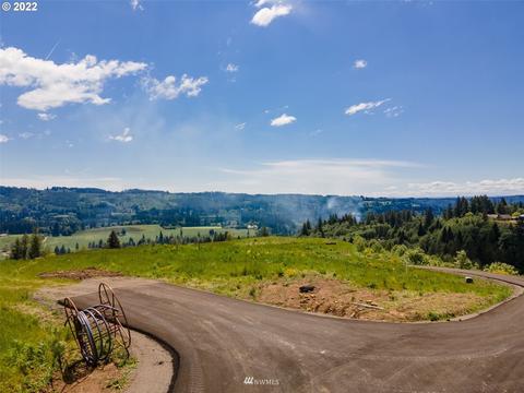 171 Galaxy Pl, Woodland, WA 98674