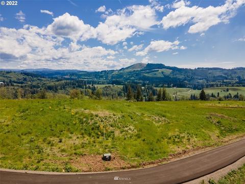 137 Galaxy Pl, Woodland, WA 98674