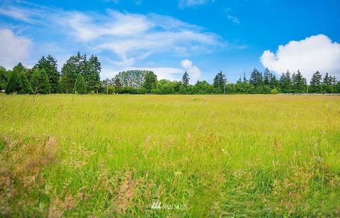 121 Rarey Rd, Winlock, WA 98596 photo 35