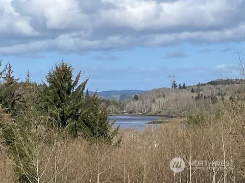 0 Shahour Rd, Raymond, WA 98577