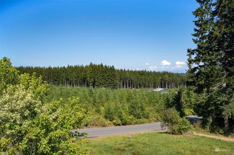 137 Backstrom Rd, Winlock, WA 98596 photo 37
