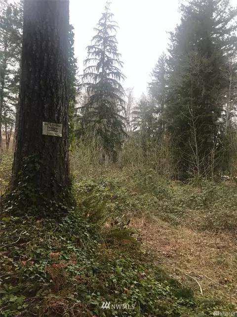 80 NE Firwood Pl, Tahuya, WA 98588