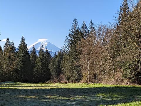 37933 278th Ave SE, Enumclaw, WA 98022 photo 40