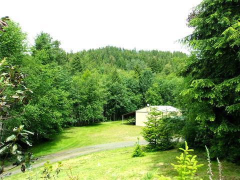 794 Jupiter Loop Rd, Brinnon, WA 98320 photo 4