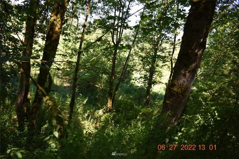 41030 196th Ave SE, Enumclaw, WA 98022 photo 3