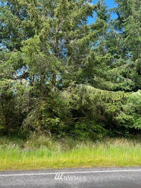 287 Duck Lake Dr SE, Ocean Shores, WA 98569