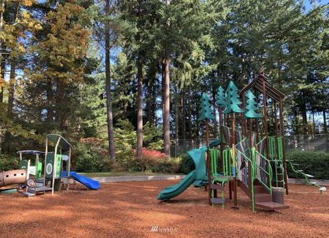 3003 154th St SE, Mill Creek, WA 98012 photo 39