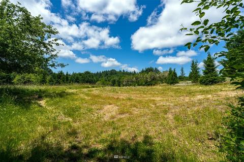 119 Hendrickson Rd, Vader, WA 98593 photo 6