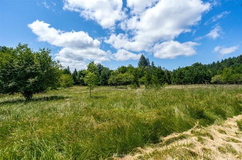 119 Hendrickson Rd, Vader, WA 98593 photo 4