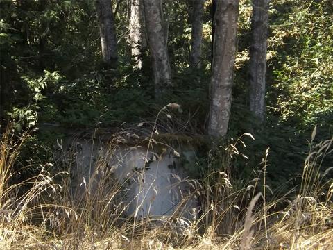 372 Olson Rd, Sequim, WA 98382 photo 22