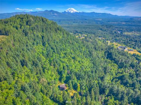46310 290th Ave SE, Enumclaw, WA 98022 photo 39
