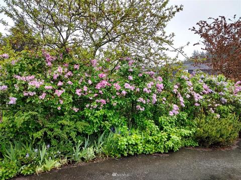 2739 Orcas Rd, Eastsound, WA 98245 photo 37
