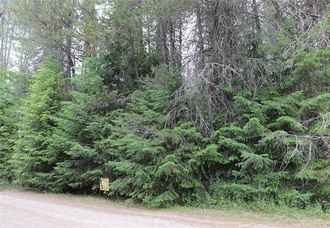 0 Diamond Dr, Newport, WA 99156