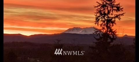 1380 Middle Fork Rd, Onalaska, WA 98570 photo 24