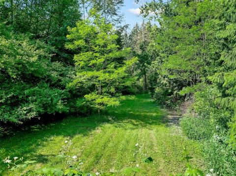 4266 Deming Rd, Everson, WA 98247 photo 26