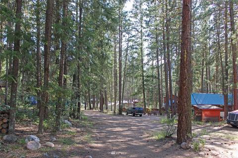 5 Heaton Rd, Winthrop, WA 98862 photo 34
