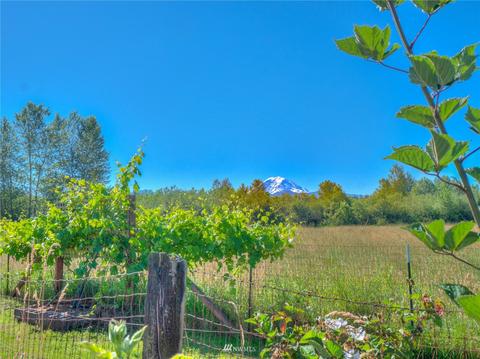 42702 236th Ave SE, Enumclaw, WA 98022 photo 38