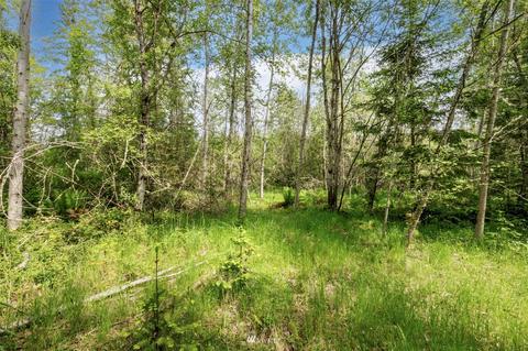 377 S Eldridge Rd, Sequim, WA 98382 photo 17