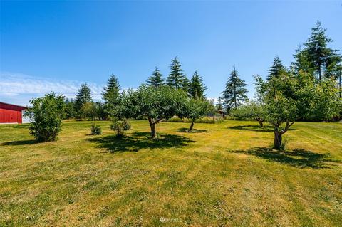 117 Roth Rd, Winlock, WA 98596 photo 29