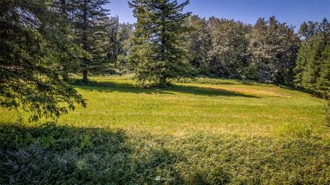 8351 N Telegraph Rd, Everson, WA 98247 photo 8