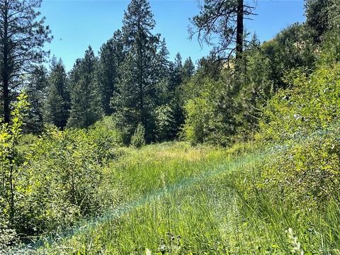 1465 Scott Rd, Dixie, WA 99329 photo 3