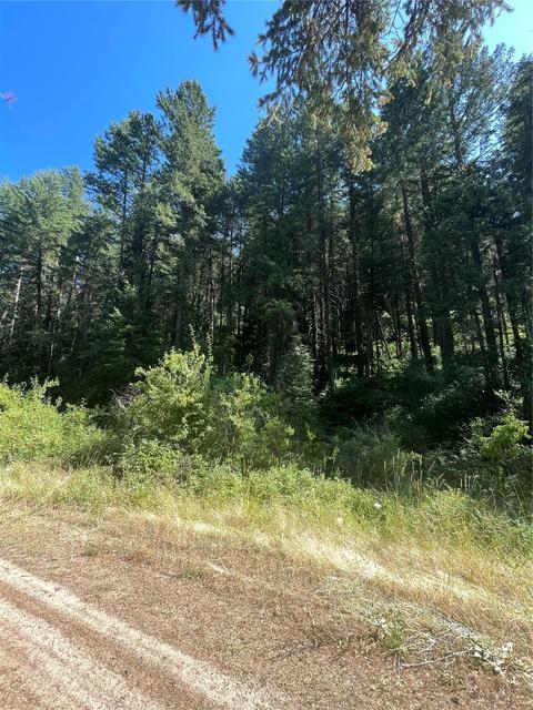 1465 Scott Rd, Dixie, WA 99329 photo 8