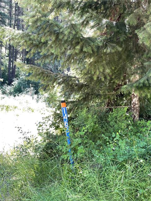 1465 Scott Rd, Dixie, WA 99329 photo 9