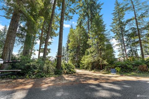3200 E Mason Lake Dr W, Grapeview, WA 98546 photo 18