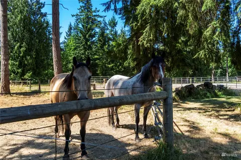 25108 Fisk Rd E, Orting, WA 98360 photo 35