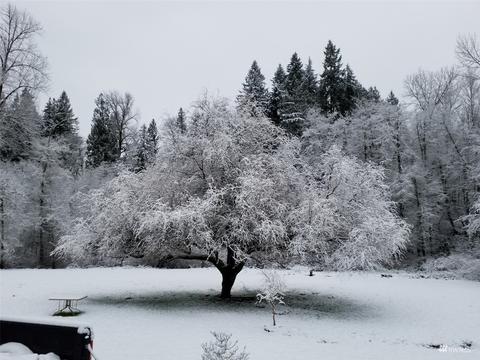 18211 212th Ave E, Orting, WA 98360 photo 13