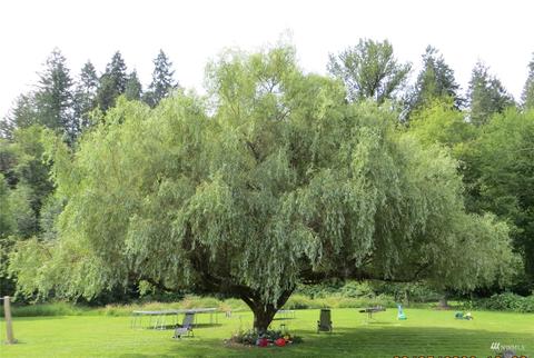 18211 212th Ave E, Orting, WA 98360 photo 6