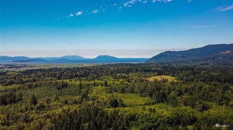 0 Bow Hill Rd, Bow, WA 98232 photo 12