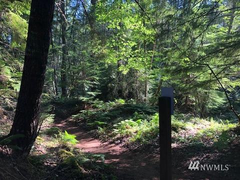 62515 Indian Summer Way E, Enumclaw, WA 98022 photo 1