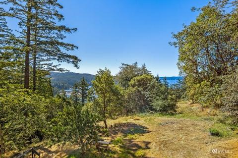 99 Melba Ln, Eastsound, WA 98245 photo 27