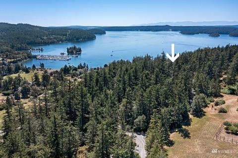 99 Melba Ln, Eastsound, WA 98245 photo 6