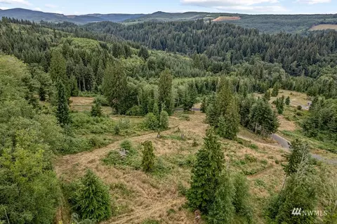 242 Bison Run, Longview, WA 98632 photo 4