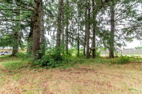 971 Tipsoo Loop N, Rainier, WA 98576 photo 14