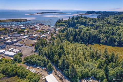 0 N Head Rd, Ilwaco, WA 98624