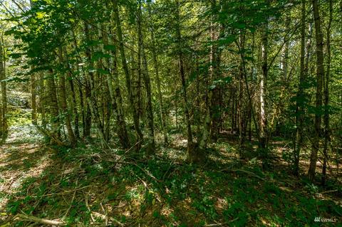 113 Beck Rd #3, Onalaska, WA 98570 photo 7