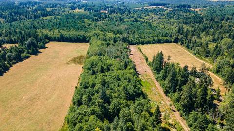 113 Beck Rd #3, Onalaska, WA 98570 photo 25